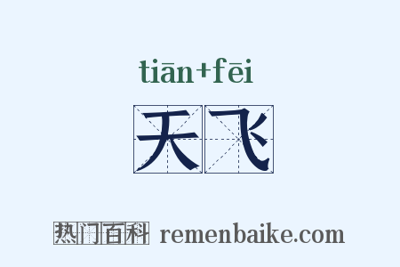 天飞是什么意思的图片